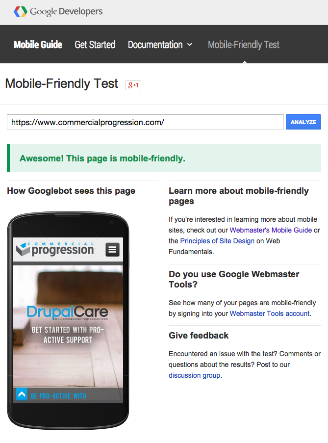 Google Mobile friendly test website